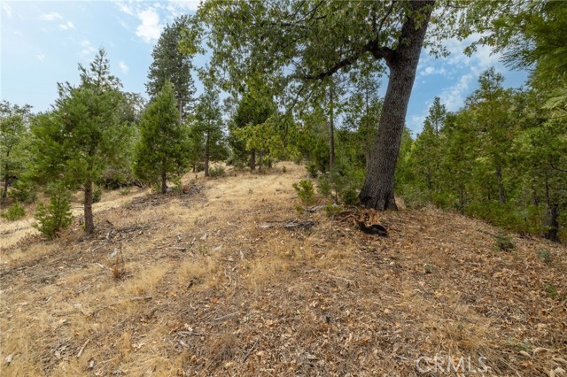 Detail Gallery Image 47 of 55 For 26 Timberview, North Fork,  CA 93643 - – Beds | – Baths