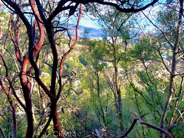 Detail Gallery Image 5 of 11 For 7333 Tehama, Nice,  CA 95464 - – Beds | – Baths