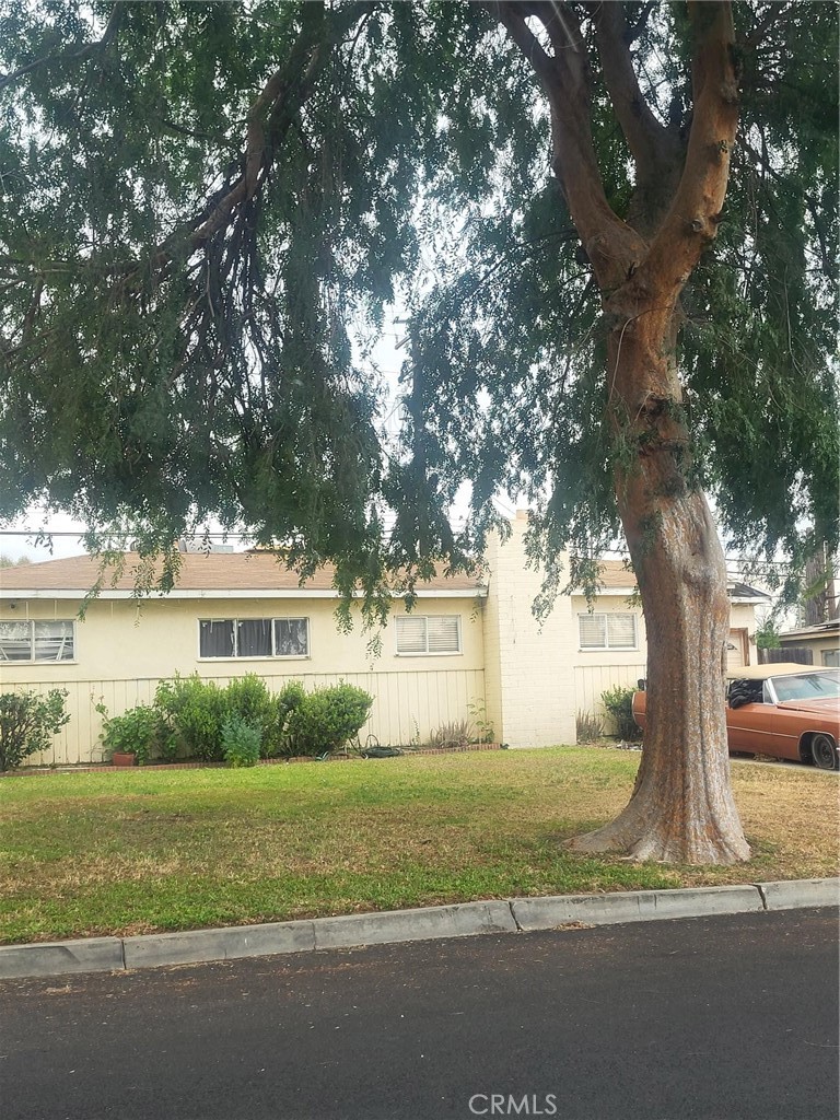 6679 Elm