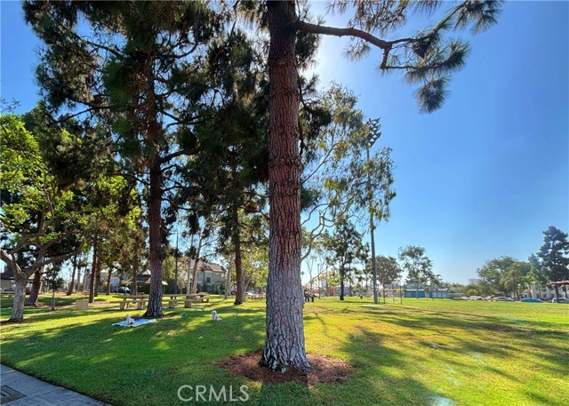 Detail Gallery Image 14 of 15 For 810 N Loma Vista Dr, Long Beach,  CA 90813 - – Beds | – Baths