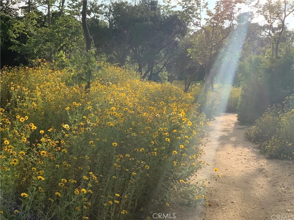 7a8d01d3 C3d3 4adc 8a3b 4fa239f3caf8