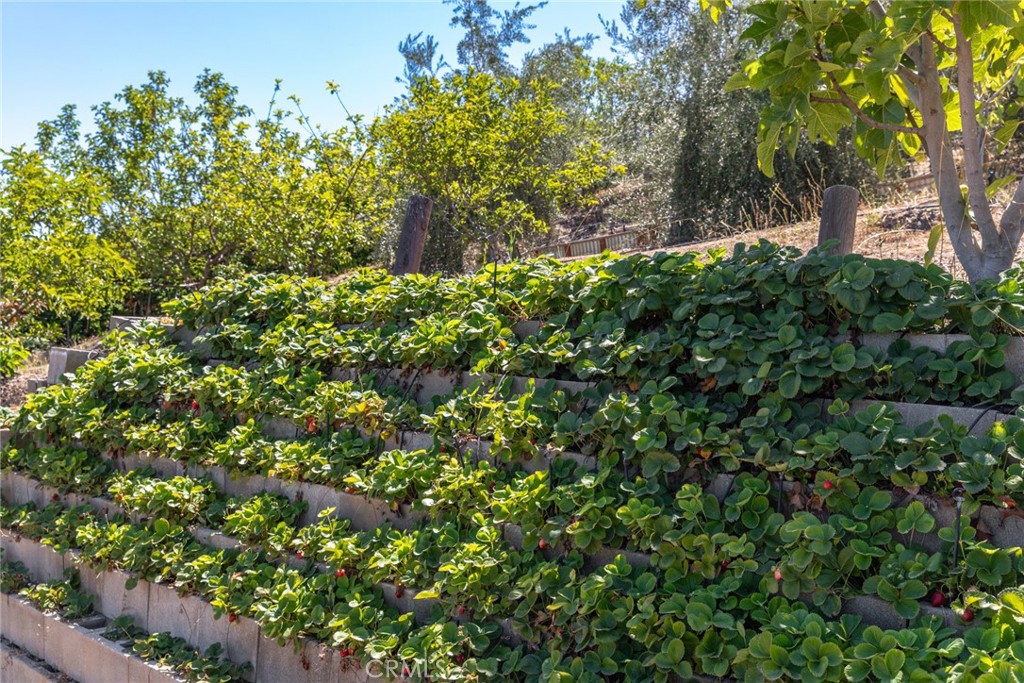 MLS #SW25171364 img 36