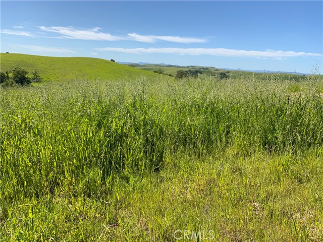 Detail Gallery Image 11 of 66 For 77599 Lowes Canyon Rd, San Miguel,  CA 93451 - – Beds | – Baths