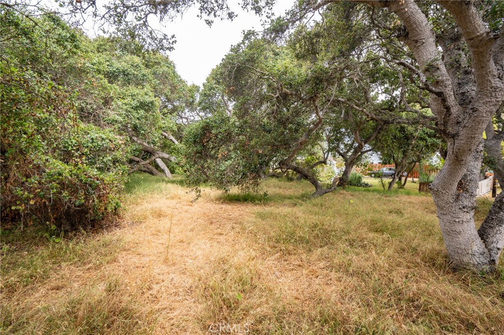 MLS #SC25145989 image #15