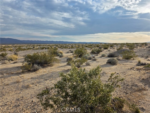 Front Image Thumbnail for CRIV26067895