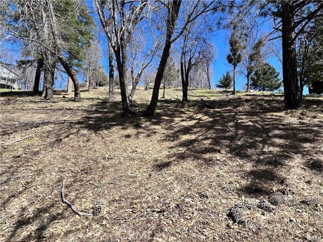 41 Fredalba Road, Running Springs CA: https://media.crmls.org/medias/7aa22cd7-04d0-4424-a949-3c0e43d72bc1.jpg