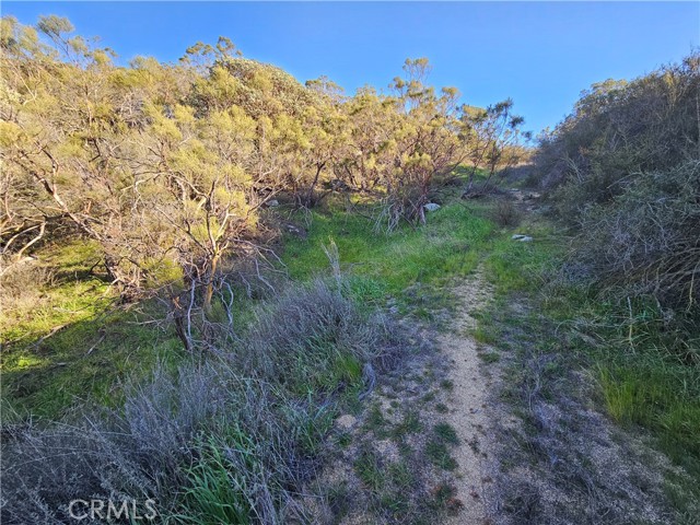 Detail Gallery Image 12 of 36 For 806 Deer Creek, Aguanga,  CA 92536 - – Beds | – Baths