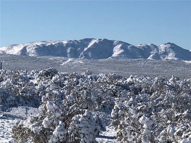 Detail Gallery Image 48 of 64 For 53651 Us Highway 371 #31,  Anza,  CA 92539 - 3 Beds | 2 Baths