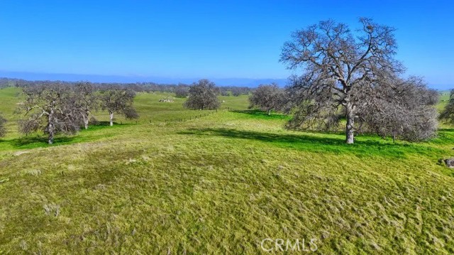 Detail Gallery Image 15 of 22 For 0 103.8 Ac Highway 41, Madera,  CA 93636 - – Beds | – Baths