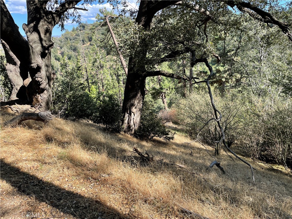 5 Deer Run Road, Cedarpines Park, CA 92322