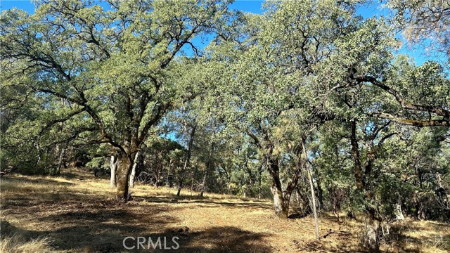 Detail Gallery Image 17 of 38 For 0 Rich Gulch Rd, Yankee Hill,  CA 95965 - – Beds | – Baths