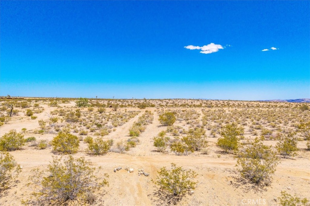 MLS #JT25107809 image #9