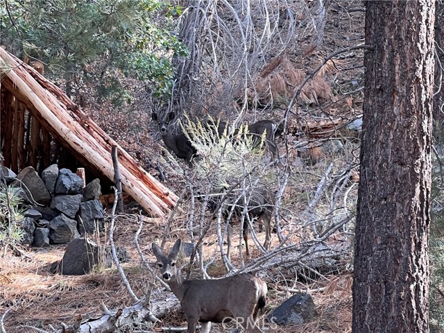 2073 Mojave Scenic Drive, Wrightwood, CA, 92397 2073 Mojave Scenic Drive, Wrightwood, CA, 92397