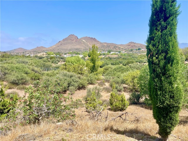 32401 Barber Road, Agua Dulce CA: https://media.crmls.org/medias/7abc2539-3668-4636-bb66-351598cb482b.jpg