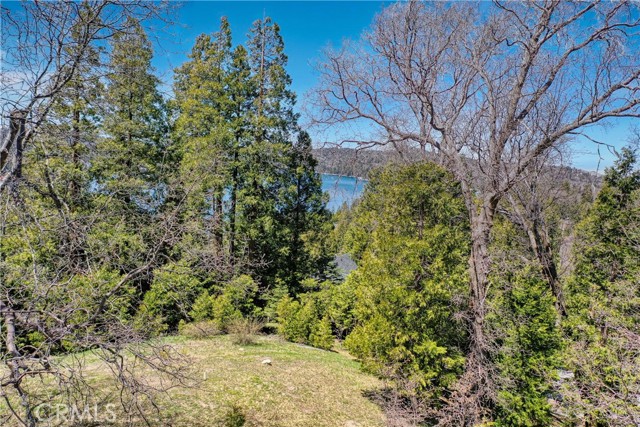 Detail Gallery Image 10 of 14 For 159 Mill Pond Rd, Lake Arrowhead,  CA 92352 - – Beds | – Baths