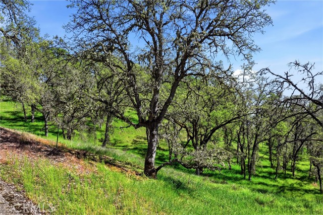 Detail Gallery Image 14 of 14 For 726 Park, Lakeport,  CA 95453 - – Beds | – Baths