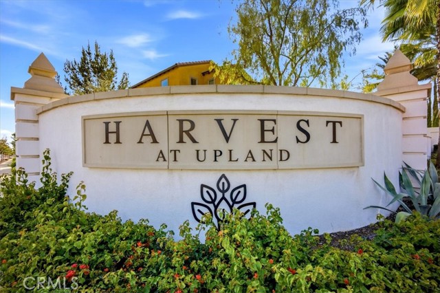 Front Image Thumbnail for CRPF26038381