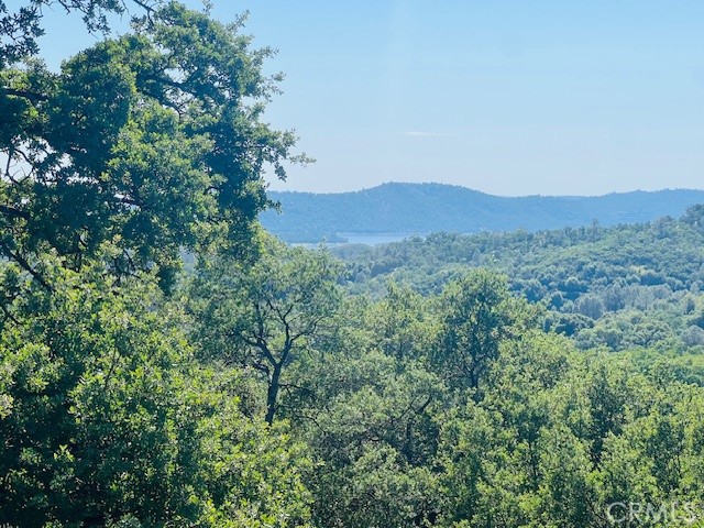 Detail Gallery Image 75 of 75 For 8697 Fraguero Rd, Sonora,  CA 95370 - 4 Beds | 2/1 Baths