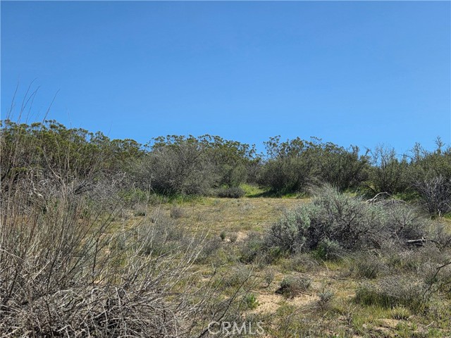 Detail Gallery Image 6 of 14 For 0 Pony Trail, Anza,  CA 92539 - – Beds | – Baths