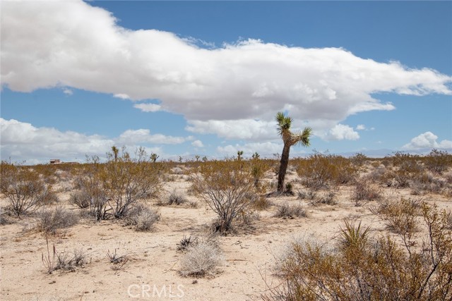 Detail Gallery Image 5 of 6 For 2000 Celeste Rd, Joshua Tree,  CA 92252 - – Beds | – Baths