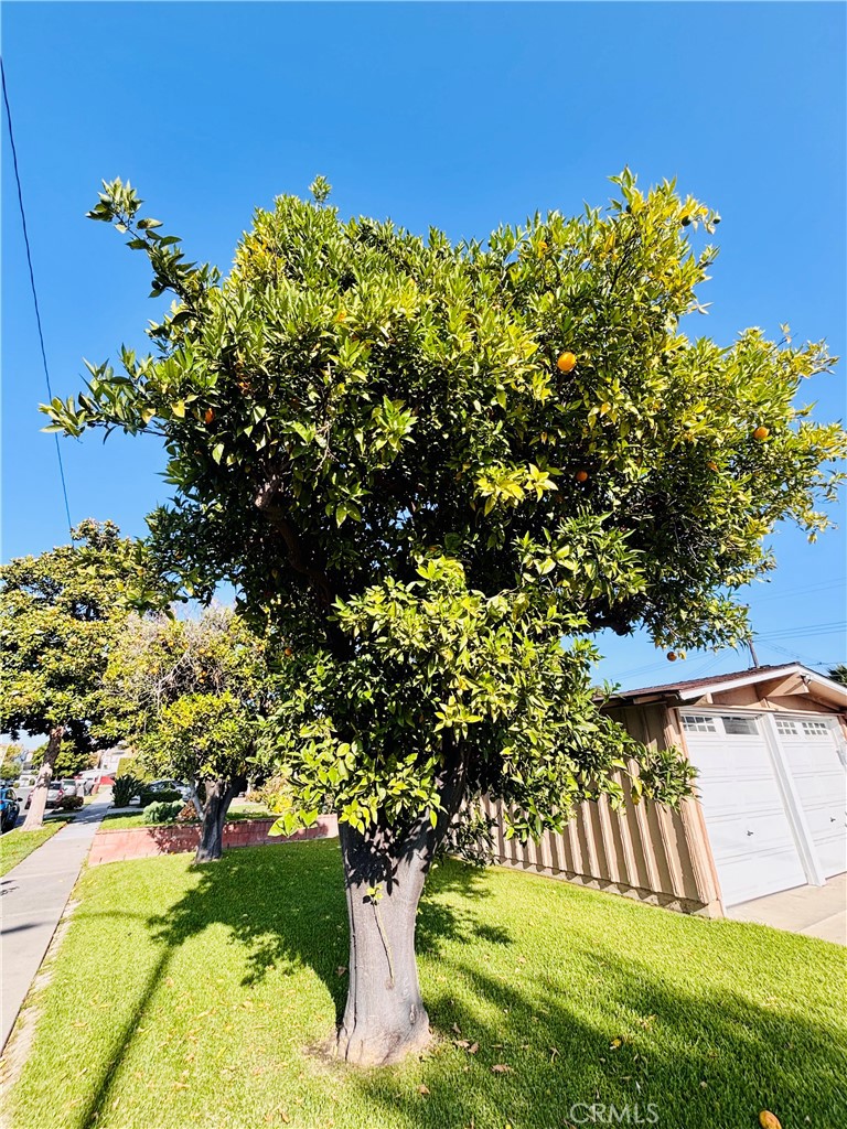 https://media.crmls.org/medias/7acb01b2-7042-4f0c-a510-70129a392135.jpg?preset=X-Large