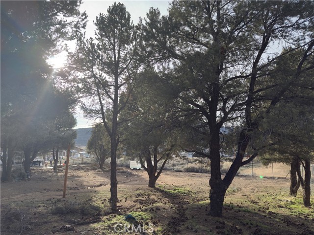 Detail Gallery Image 23 of 31 For 1820 Golden Rod, Big Bear City,  CA 92314 - – Beds | – Baths