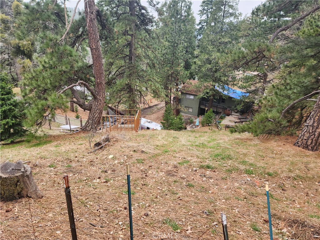 24 Tower Heights Road, Cedarpines Park, CA 92322