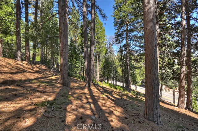 Detail Gallery Image 24 of 24 For 170 Fairway, Lake Arrowhead,  CA 92352 - 3 Beds | 2 Baths