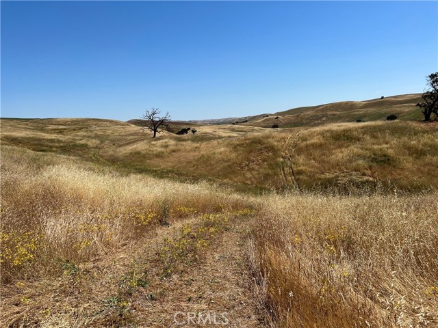 Detail Gallery Image 2 of 9 For 3610 Shimmin Canyon Rd, Shandon,  CA 93461 - – Beds | – Baths