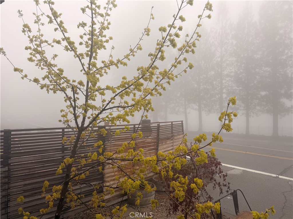 https://media.crmls.org/medias/7ae1f4b0-6cce-4648-93b0-3f744eaa8fce.jpg?preset=X-Large