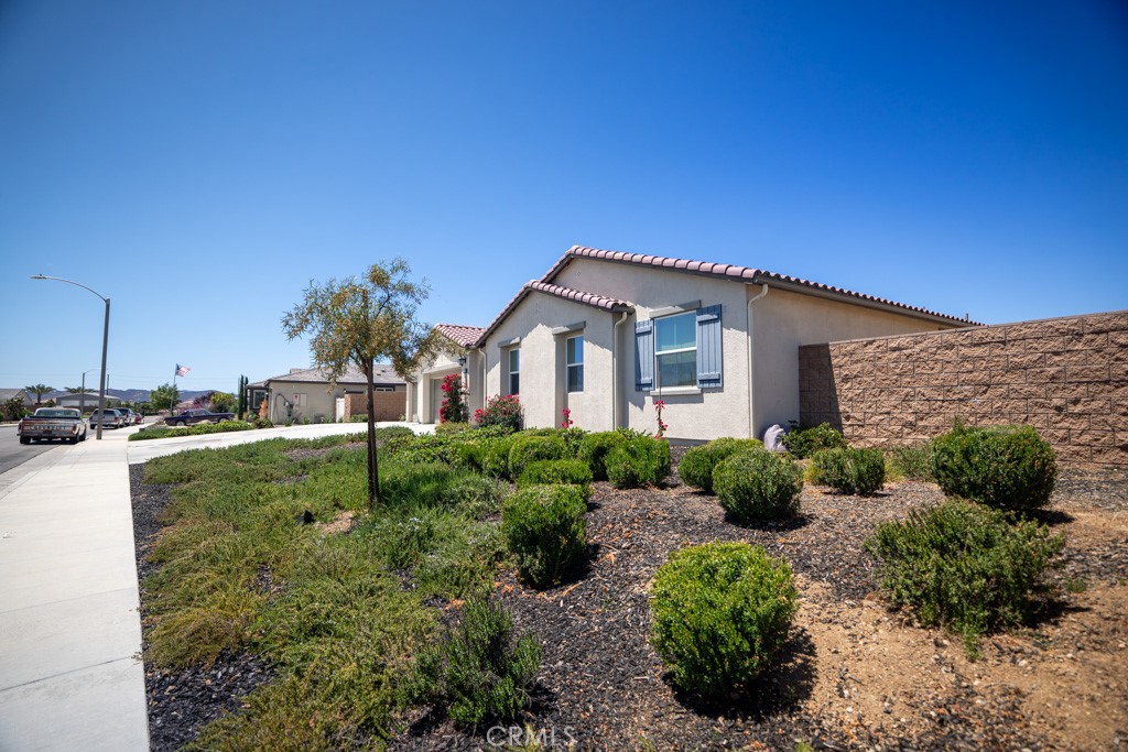 31192 Briar Rose Freeway