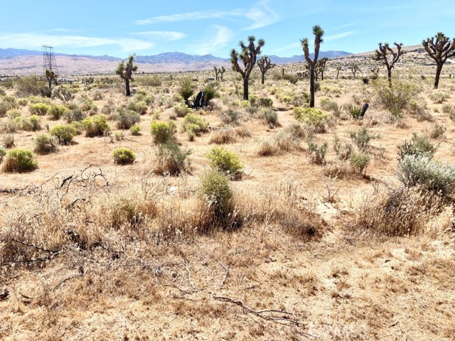 Image 8 of 9 For 9950 Belfast Road