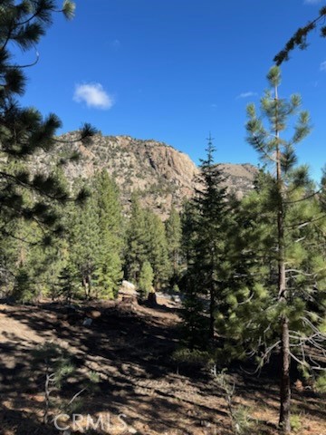 Drew Fenton | 0 Piute Dr June Lake CA | MLS: 7472150