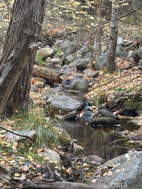 Detail Gallery Image 38 of 43 For 2458 Coachman, Mariposa,  CA 95338 - 3 Beds | 2/1 Baths