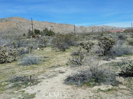 Detail Gallery Image 7 of 10 For 0 29 Palms Highway, Morongo Valley,  CA 92256 - – Beds | – Baths