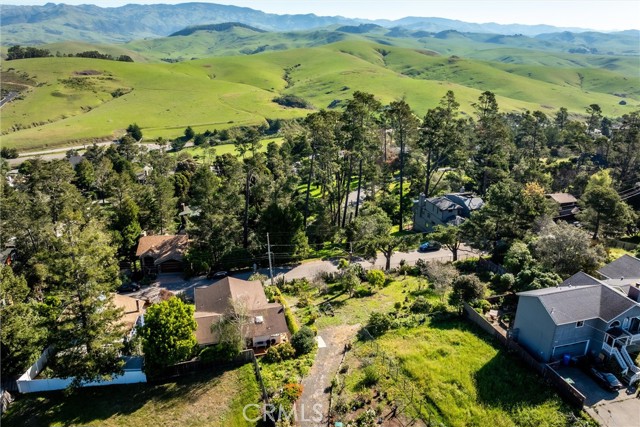 Detail Gallery Image 26 of 32 For 1909 Pineridge, Cambria,  CA 93428 - 2 Beds | 2 Baths