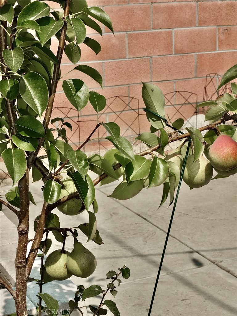 https://media.crmls.org/medias/7b0cbb2f-ab99-461b-bc31-52ade29c9131.jpg?preset=X-Large