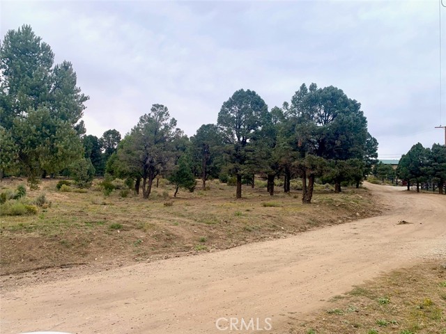 0 Minnow Lane, Other - See Remarks, California 92314, ,Land,For Sale,0 Minnow Lane,CRSB23184407