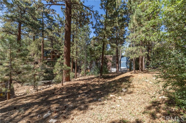 Detail Gallery Image 5 of 14 For 0 Kern Ave, Sugarloaf,  CA 92386 - – Beds | – Baths
