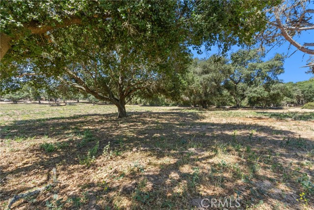 1529 Pomeroy Road, Arroyo Grande CA: https://media.crmls.org/medias/7b170d04-2870-4523-a51a-659dab7bf0c7.jpg