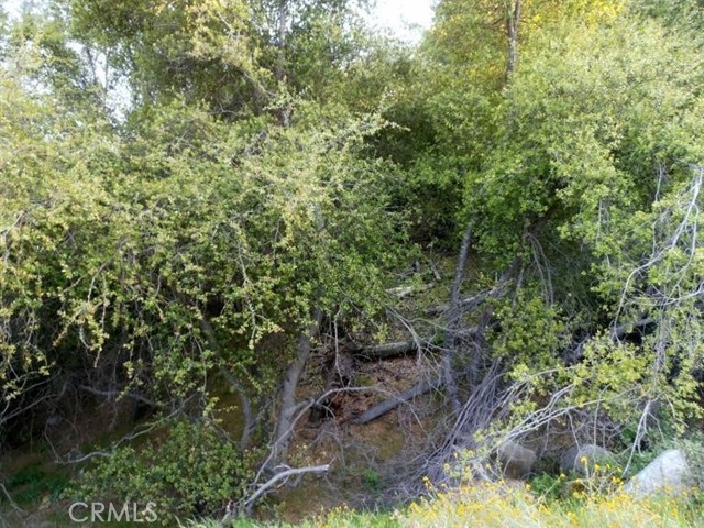 Detail Gallery Image 14 of 64 For 37 Lynx Ln, Prather,  CA 93651 - – Beds | – Baths