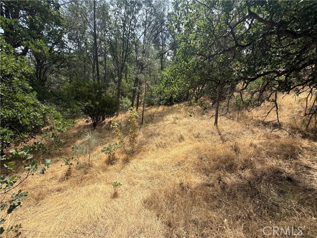 Image 2 of 5 For 16295 Hillcrest Drive