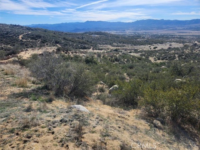 59775 Moonshine trail, Anza, California 92539, ,Land,For Sale,59775 Moonshine trail,CRIV24054377