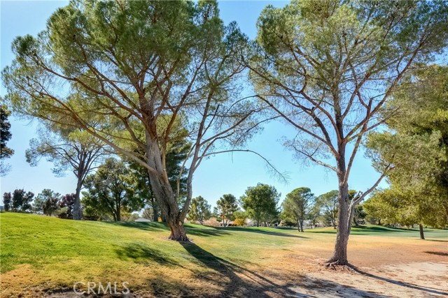 Detail Gallery Image 65 of 74 For 14987 Tournament Dr, Helendale,  CA 92342 - 3 Beds | 2 Baths