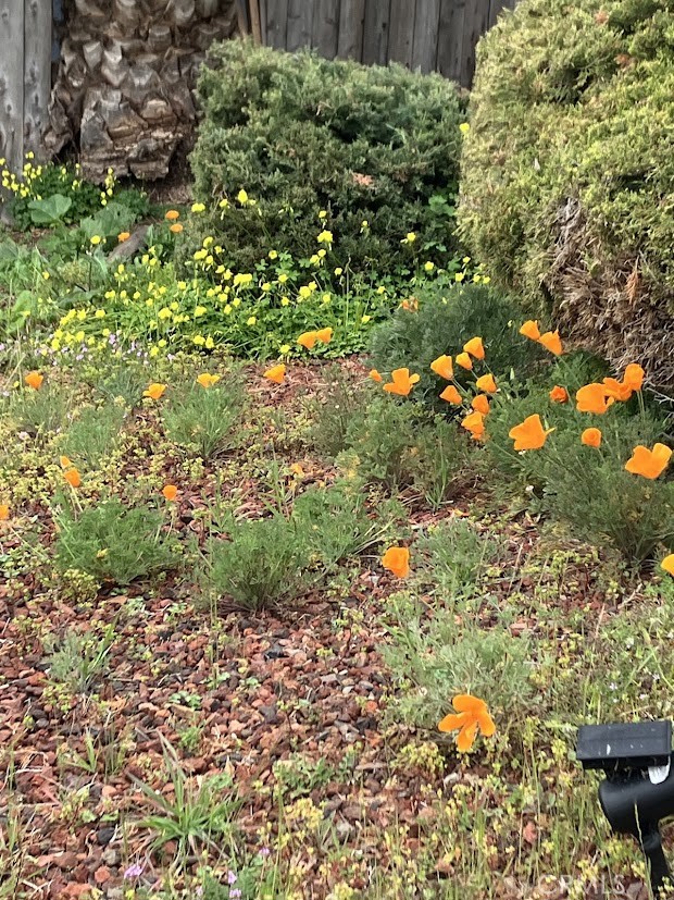 Detail Gallery Image 23 of 41 For 9495 Glenhaven, Glenhaven,  CA 95443 - 2 Beds | 1 Baths