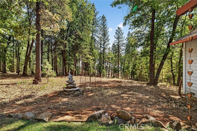 Detail Gallery Image 51 of 75 For 10202 Cohasset Rd, Chico,  CA 95973 - 3 Beds | 2 Baths