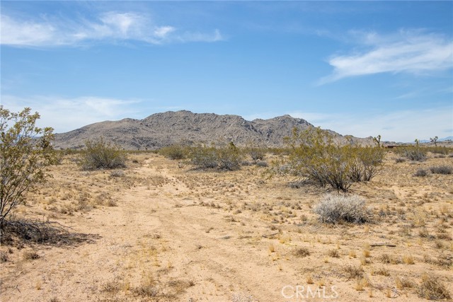 Detail Gallery Image 18 of 19 For 4444 Saddleback Dr, Joshua Tree,  CA 92252 - – Beds | – Baths