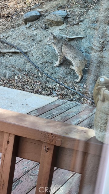 Detail Gallery Image 53 of 57 For 5180 Lone Pine Canyon, Wrightwood,  CA 92397 - 4 Beds | 2 Baths