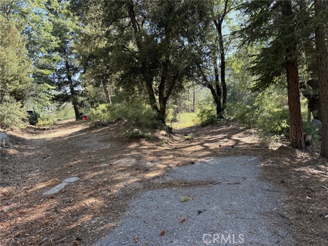 0 Ca-38, Angelus Oaks CA: https://media.crmls.org/medias/7b34ac36-21d4-4891-9a7d-60b81f592f81.jpg