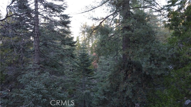 0 Lake Forest/boulder, Twin Peaks, CA, 92391 0 Lake Forest/boulder, Twin Peaks, CA, 92391